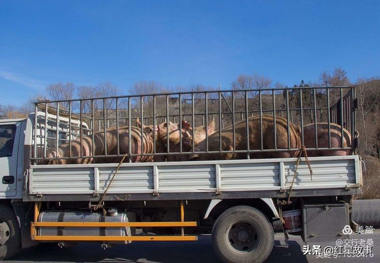 镜头下的万达,大连实时镜头