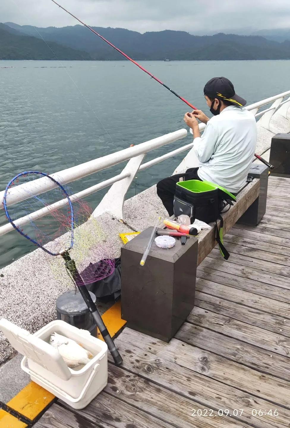 20种常见海鱼,十大常见野生海鱼