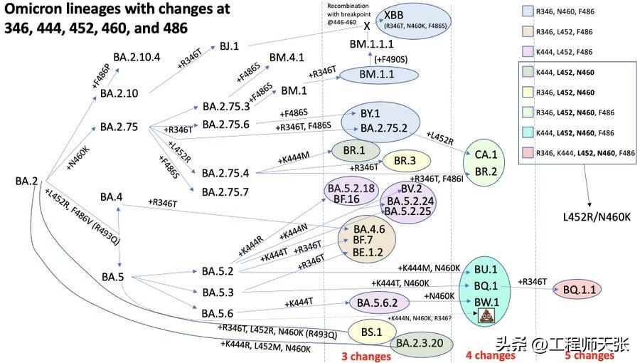 地狱犬变异毒株严重吗,奥密克戎变种地狱犬