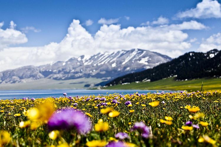 从新疆出发内地旅游省钱攻略,五一3-5天短途旅游推荐疆内