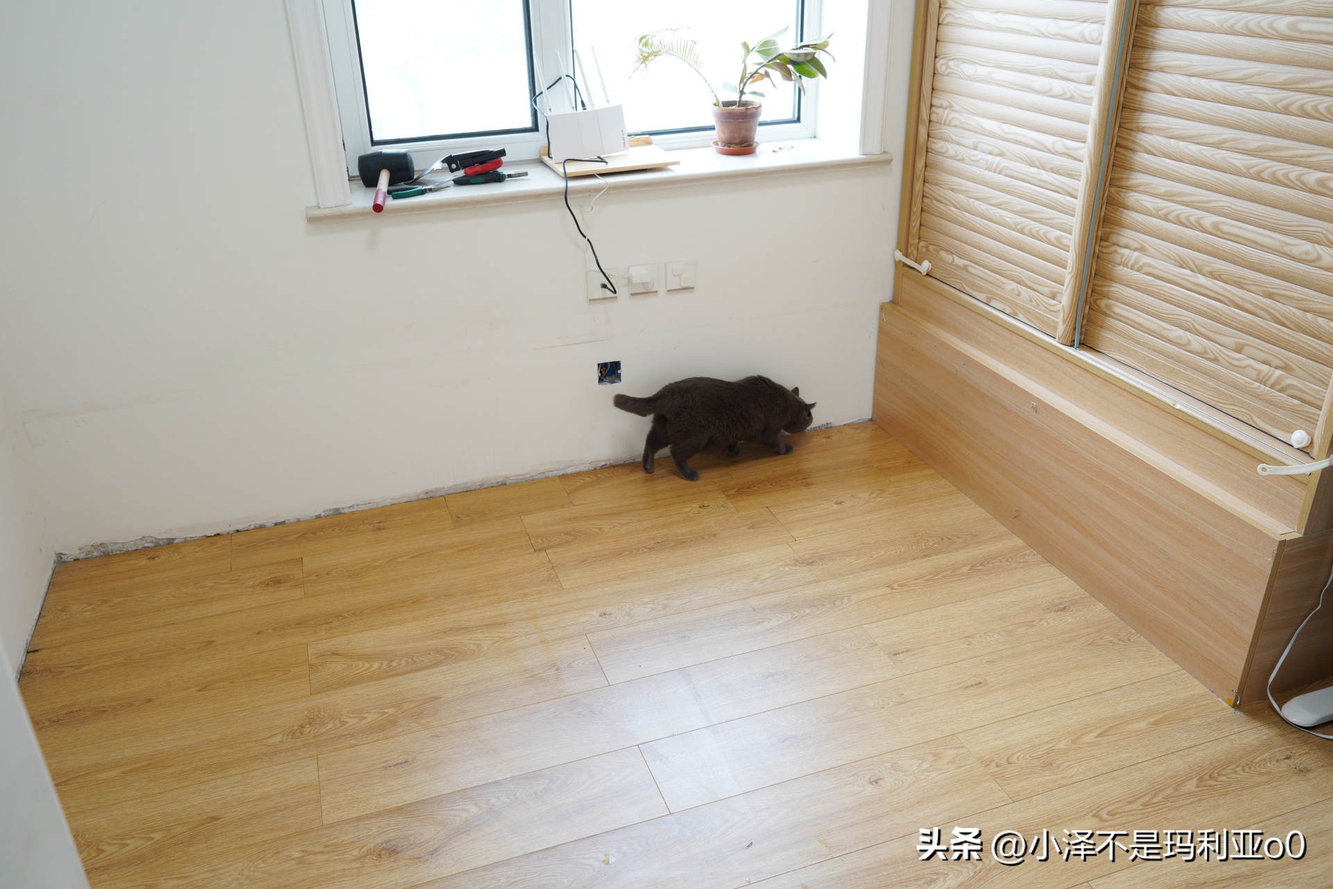 拆榻榻米大概需要多少钱,定制榻榻米衣柜怎么拆