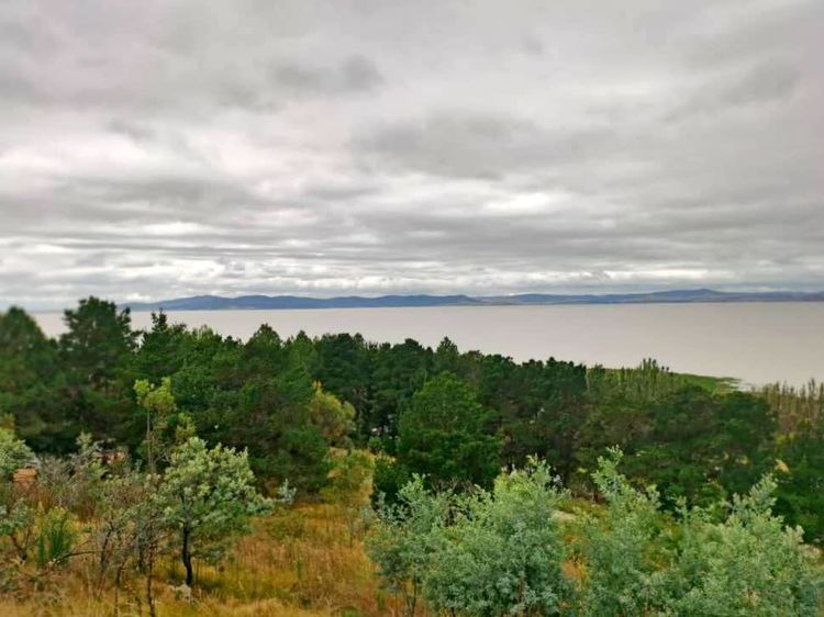 澳洲最不寻常的湖艾尔湖你见过吗,澳大利亚乔治湖