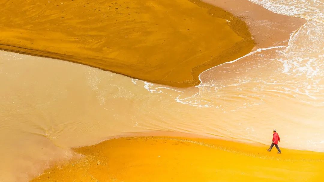 12句时光诗词：欲买桂花同载酒，终不似，少年游！第一句就让人想哭