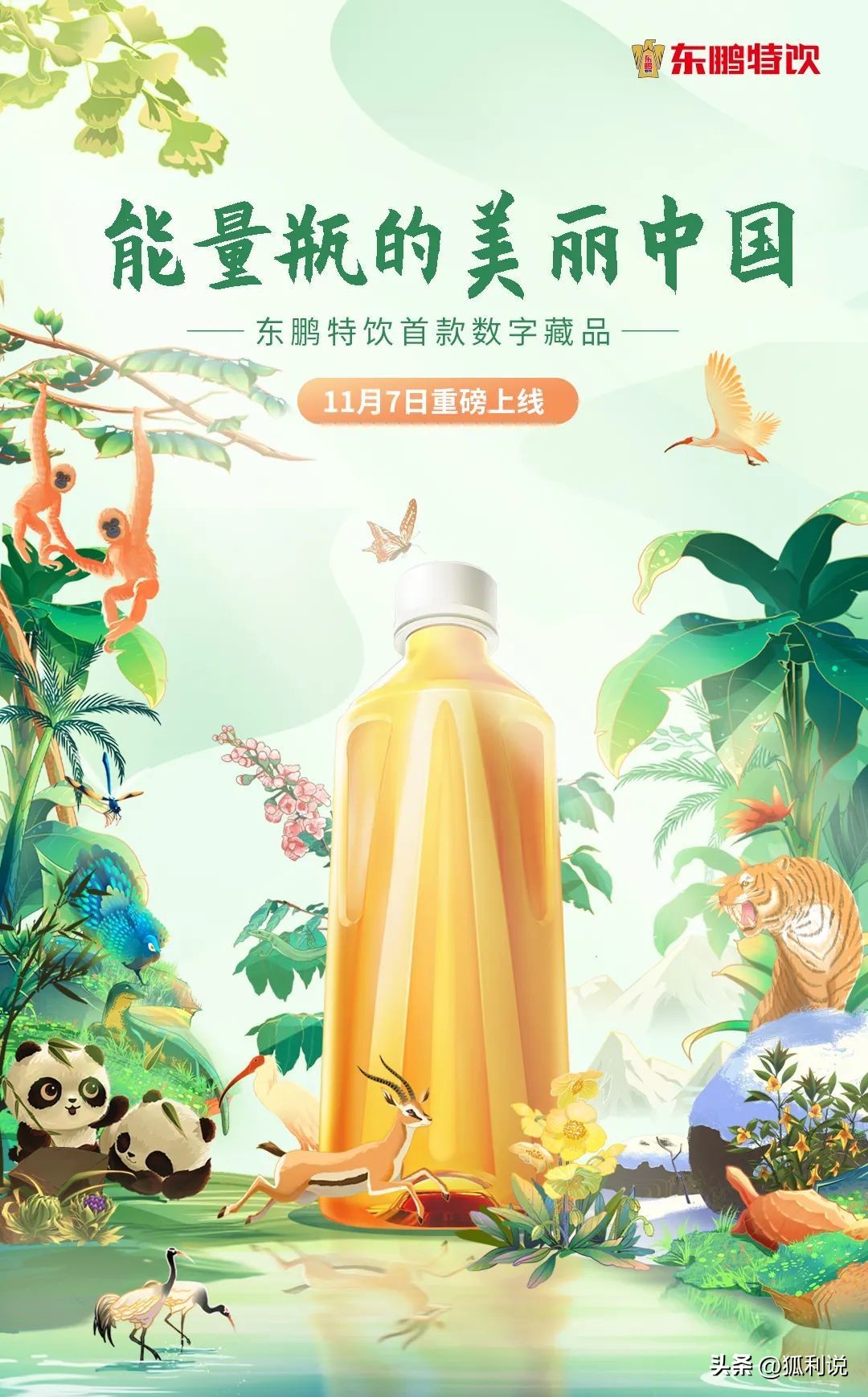 狐利说｜11月10日数字藏品日历分享