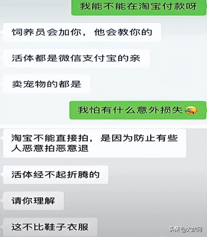 在网上买猫结果被人骗了,被诱导消费后强买强卖