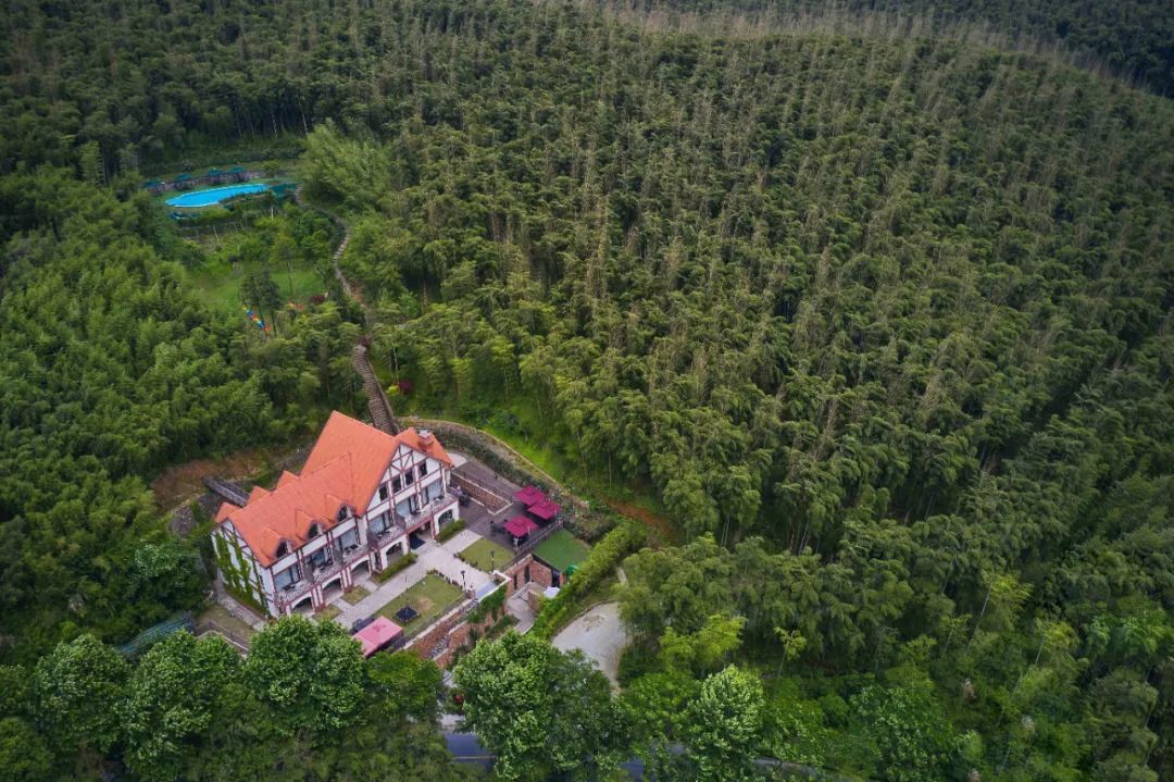 江浙沪附近避暑民宿,夏天莫干山性价比民宿推荐