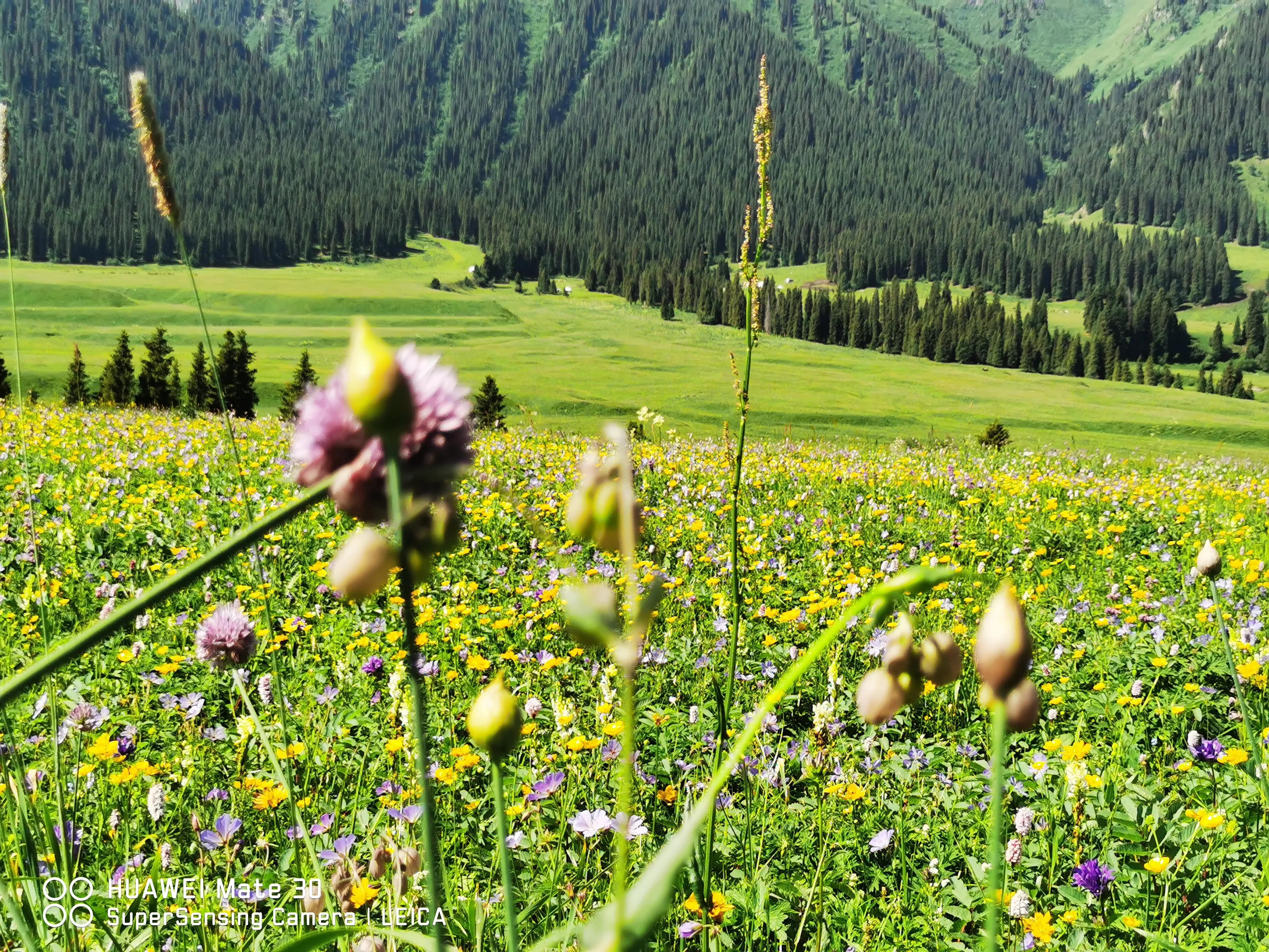 2022进疆自驾游,23年第三次自驾进疆