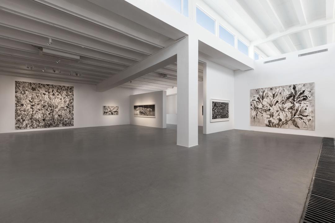 巨川,你好!|艺术栗子