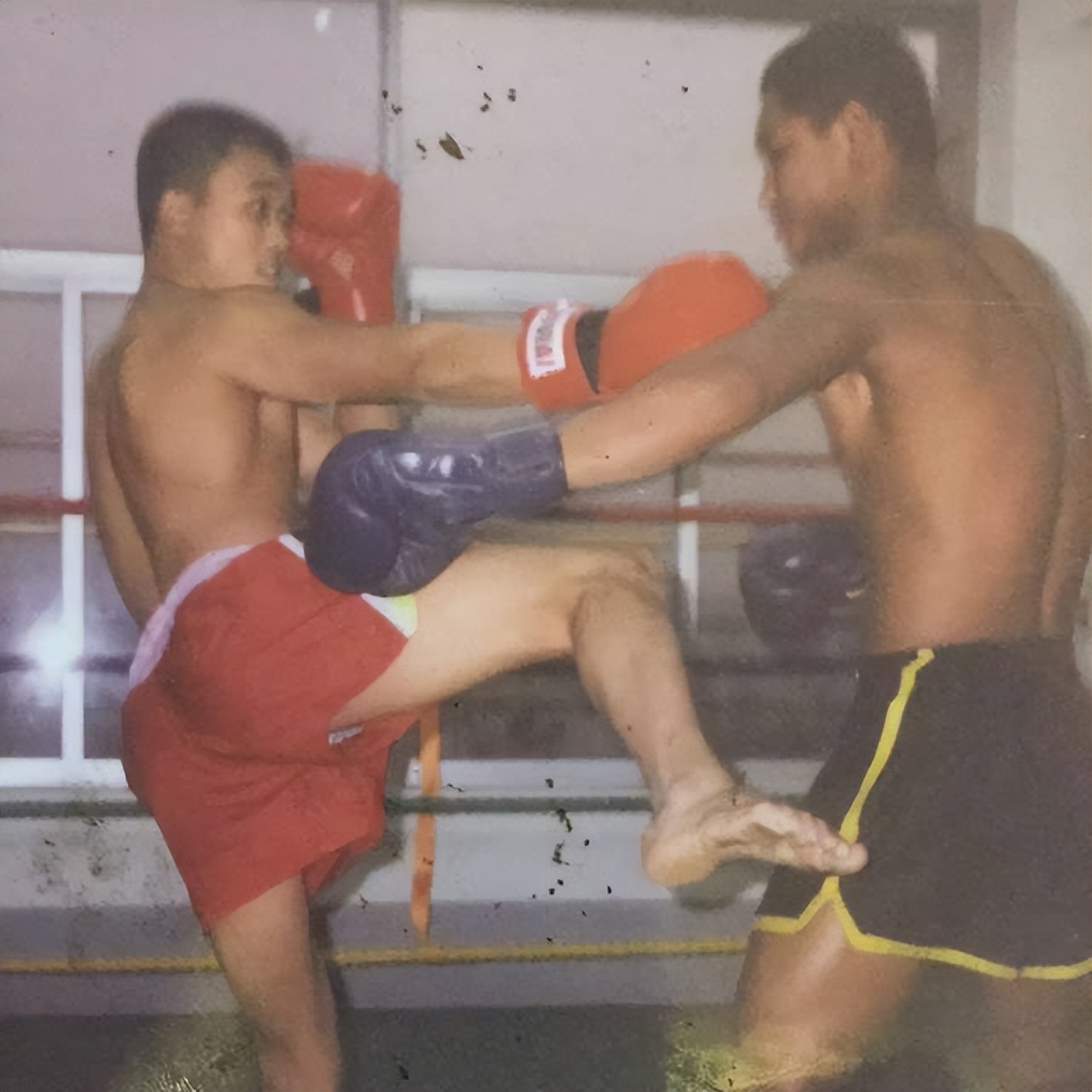 彭小龙:儿时家里的“小皇帝”