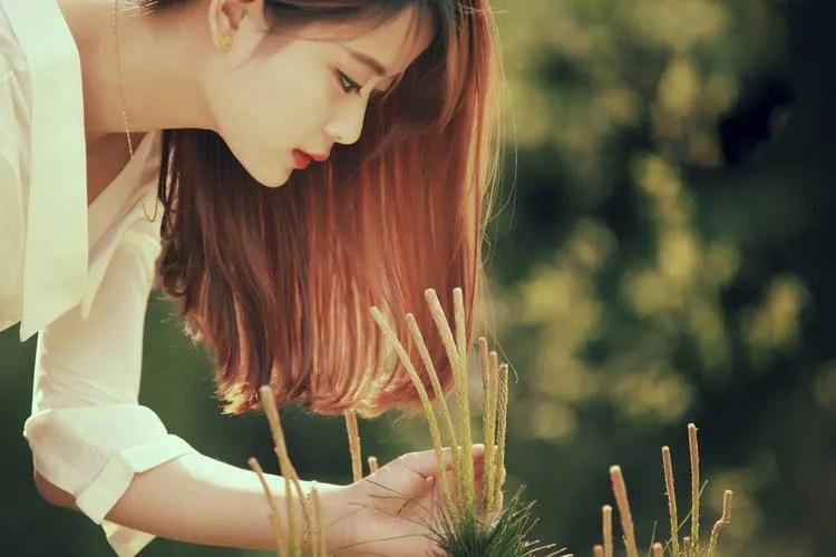 别来无恙中的恙在古时指的是什么,别来无恙中的无恙本意指啥