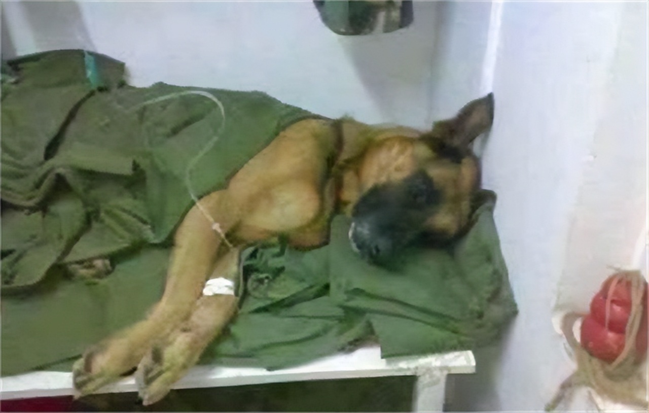 汶川地震搜救的事件,汶川地震惨烈救援人员回忆哭了