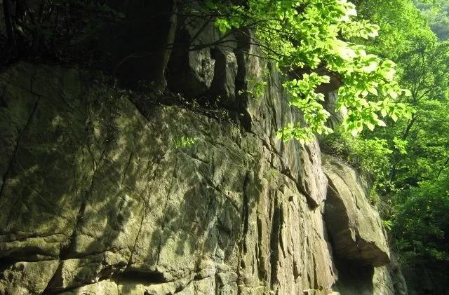 福建省221国道,福建闽西