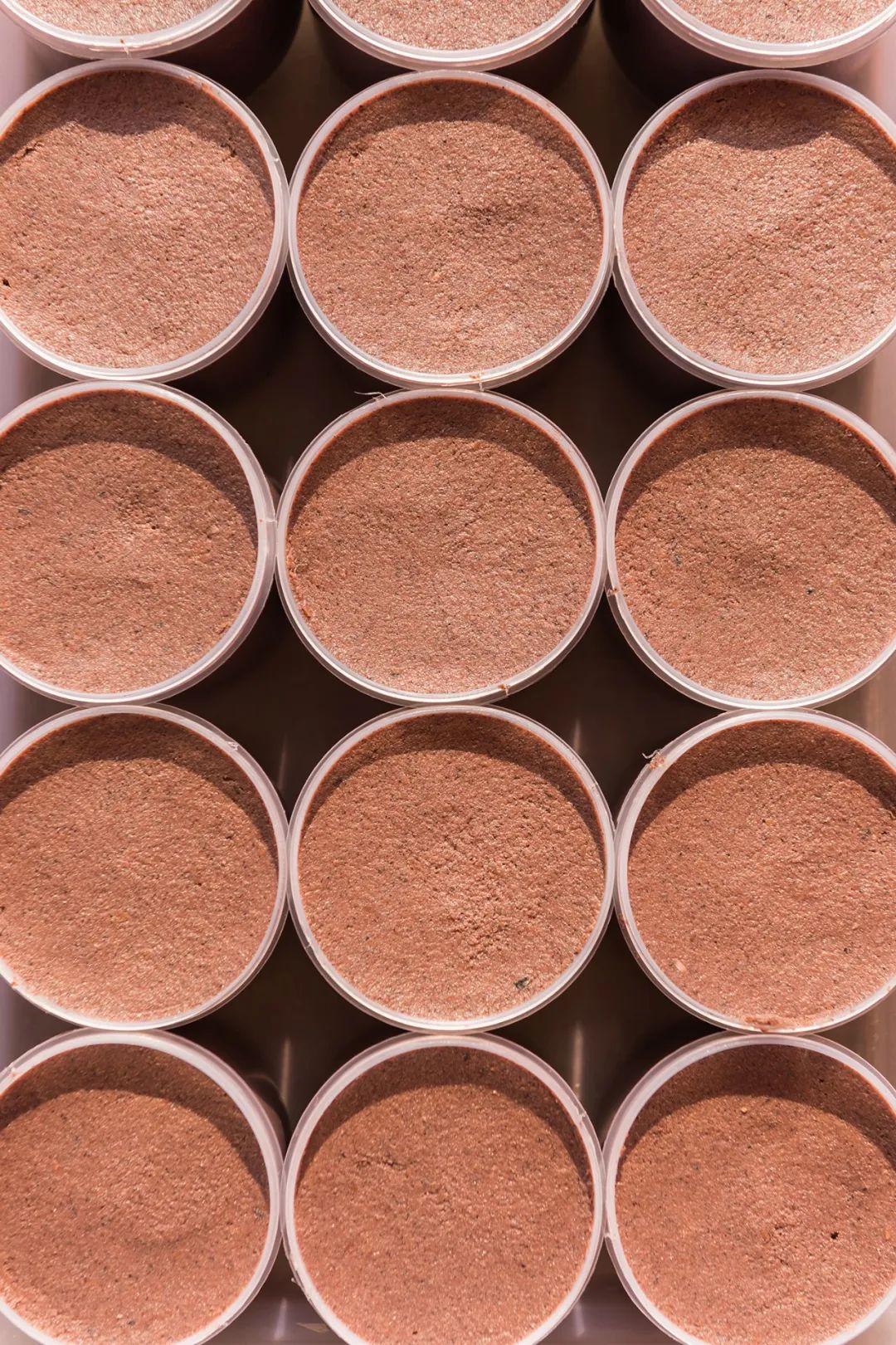 山东必吃海鲜盘点,山东十大特色海鲜