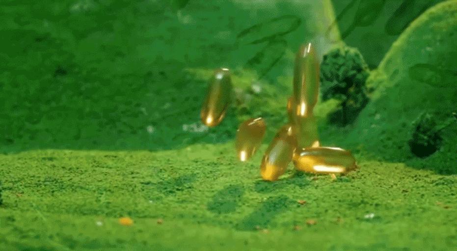 双11性价比最高的5g手机,双11千元机性价比最高的手机