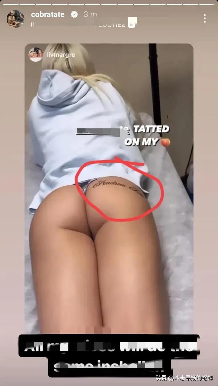 安德鲁泰特tiktok,tiktok如何获得更多流量