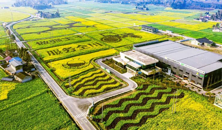 农业技术进步的现状思考与对策,农业科技发展现状和趋势