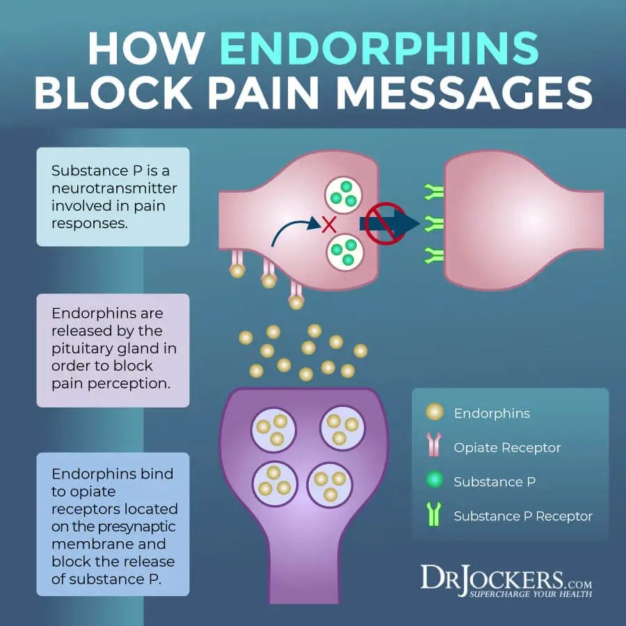跑步释放的多巴胺仅次于恋爱图文,为什么跑步的多巴胺仅次于谈恋爱