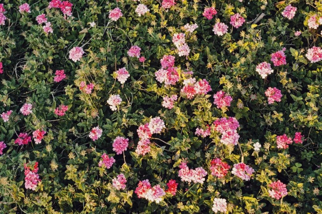 南方小众避寒好去处,今冬避寒好去处推荐