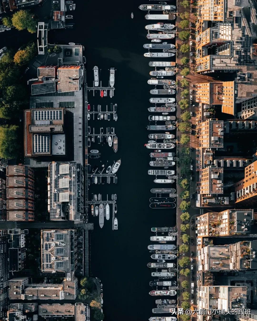 懂懂日记全集,懂懂日记和艾浪笔记