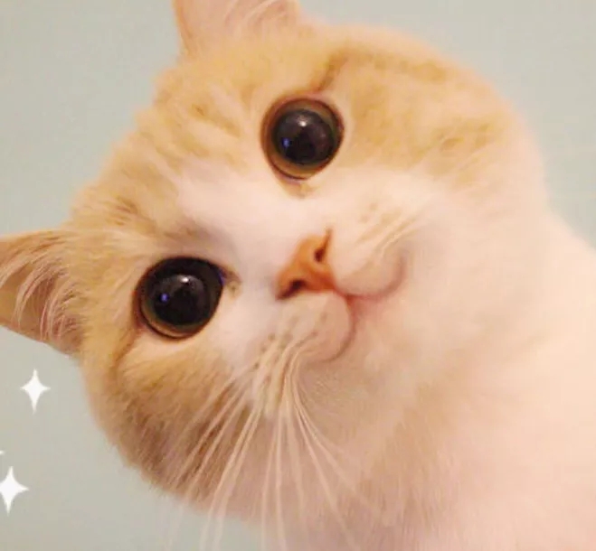 你必须知道的24个护肤技巧,医生建议脸部护肤方法