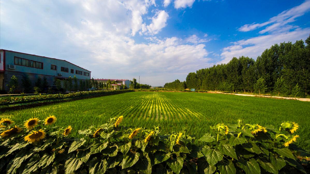 怎么做好农村家庭农场,想要经营家庭农场你必须知道这些
