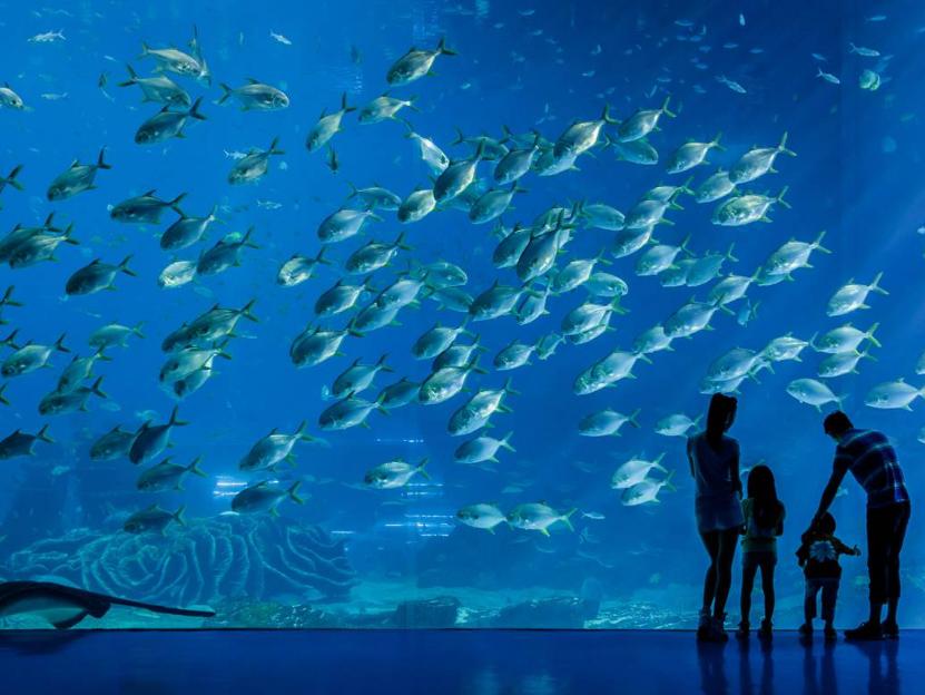 浠庣彔娴峰埌棣欐腐鏃呮父鏀荤暐,鐝犳捣闀块殕鏅尯鏃呮父鏀荤暐