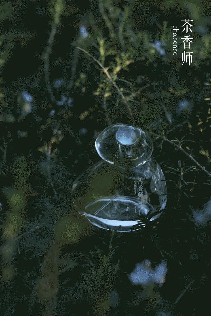 茶香师说丨每个新的气味都是一场赌局
