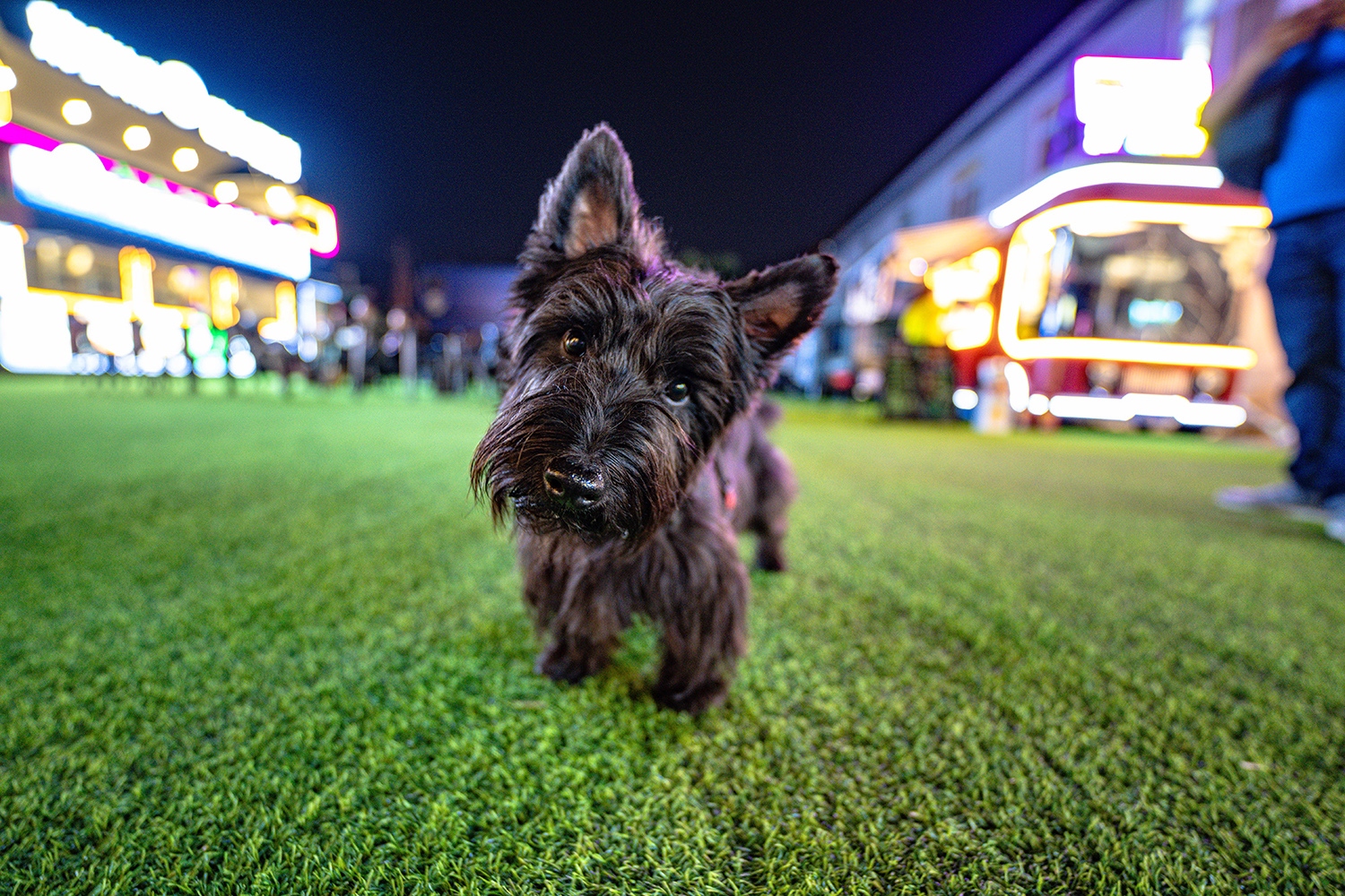 适马14mmf1.8l的实测,适马14mmf1.4测评