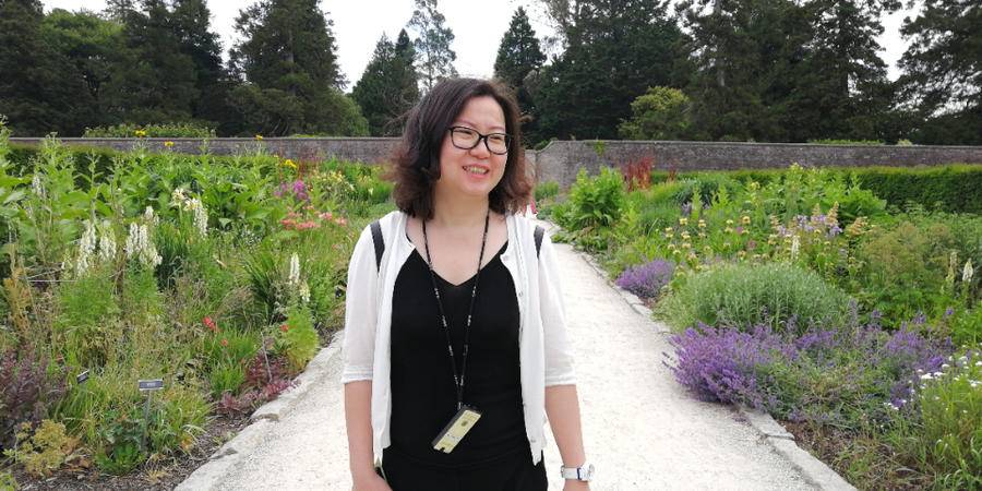 滕肖澜倾国倾城,倾国倾城小说滕肖澜