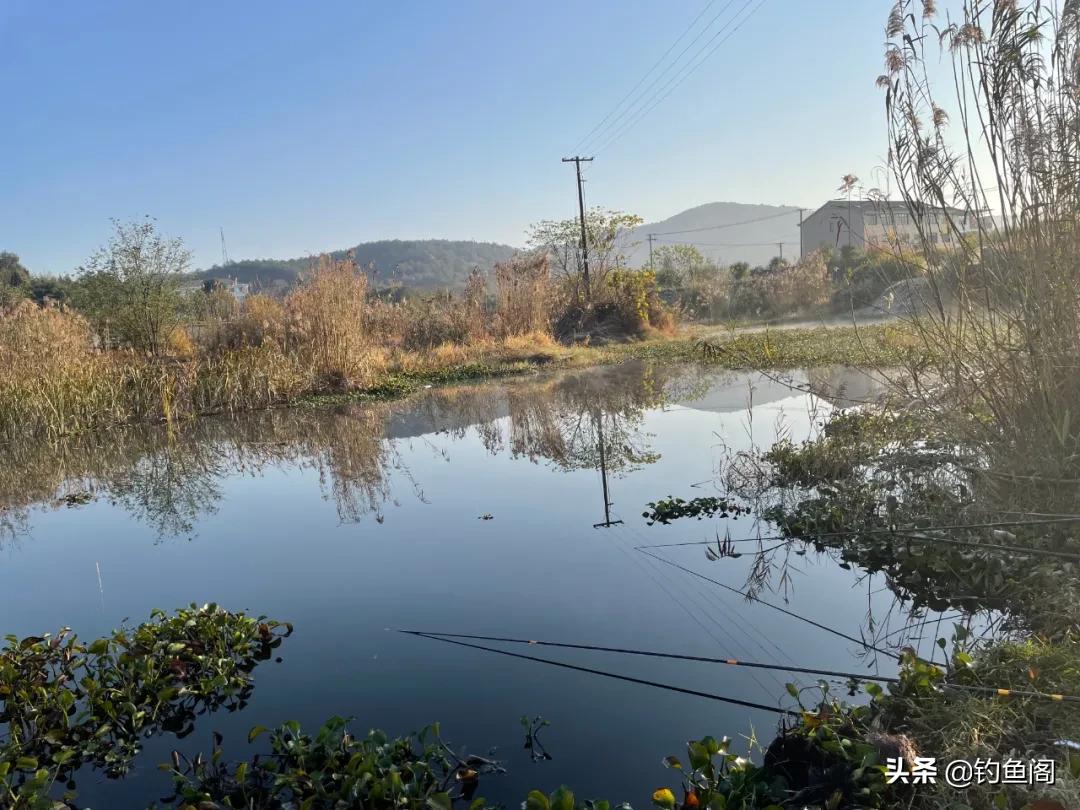 鱼起浮打氧都下不去,鱼起浮不吃饵怎么办