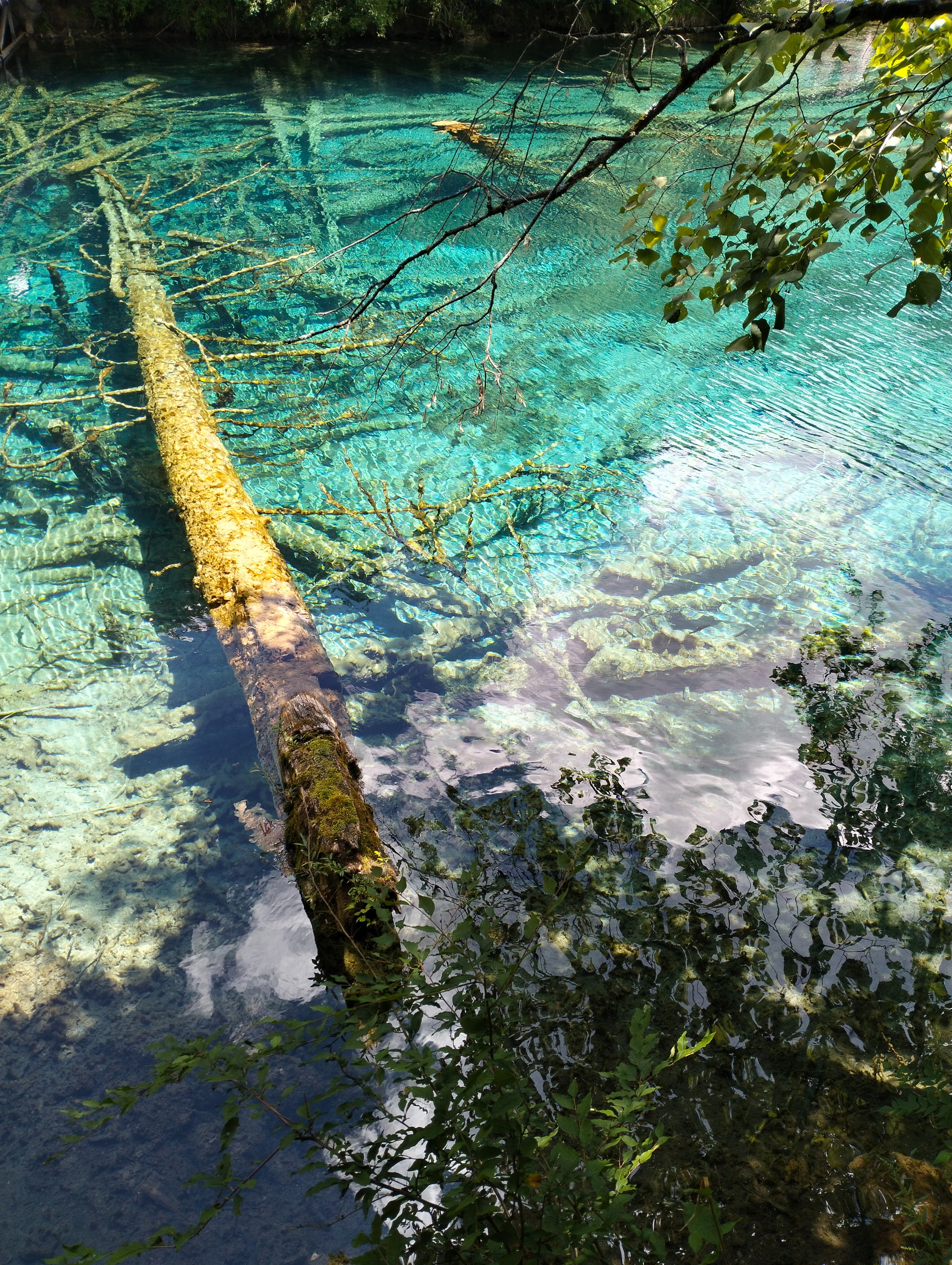 九寨沟一年四季都有雪山吗,九寨沟一年四季都开放吗