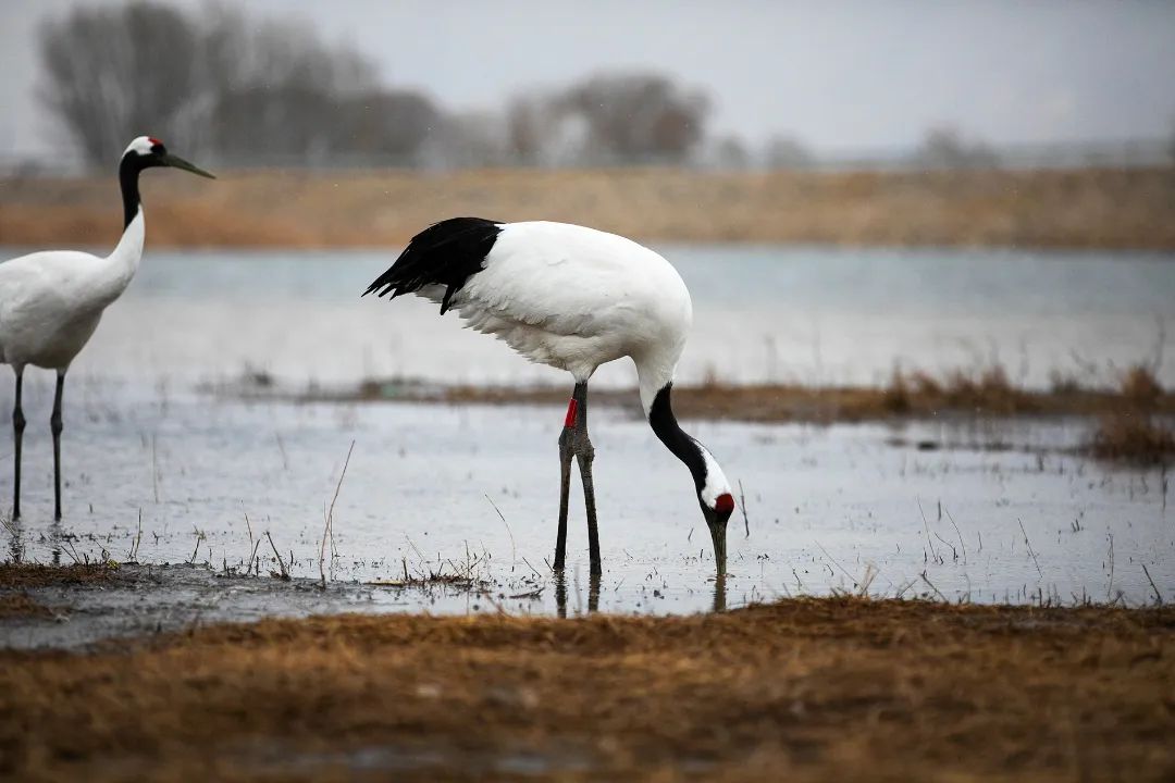 迎接党的20大美术作品,喜迎二十大乡村摄影展