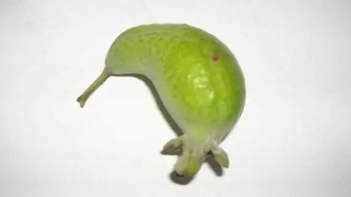 长得丑被抛弃,长得丑被人抛弃