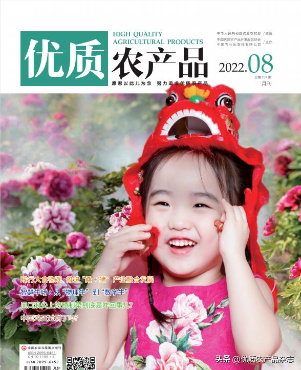 风口浪尖上的预制菜到底是咋回事？