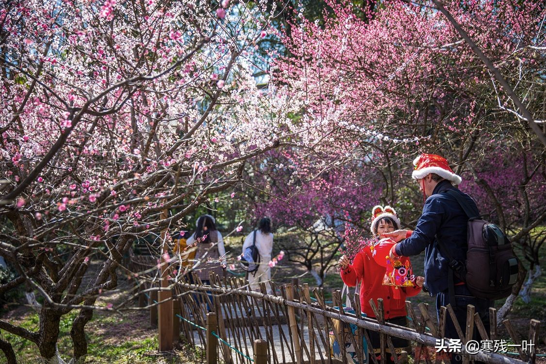 11月份的杭州西湖哪里最美,杭州西湖最佳攻略