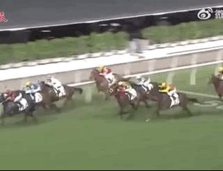 郭富城赛马花多少钱,郭富城赛马赢一亿新闻