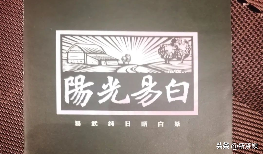 刀哥说茶普洱茶怎样审评才靠谱,刀哥说茶十问云南白茶