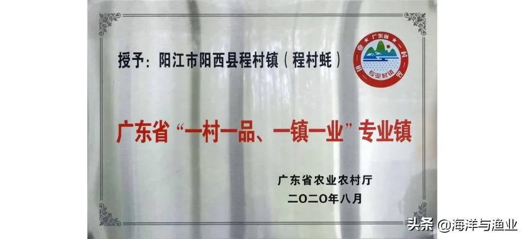 走近中国生蚝之乡:以数字转型造美丽乡村“品牌强衣”