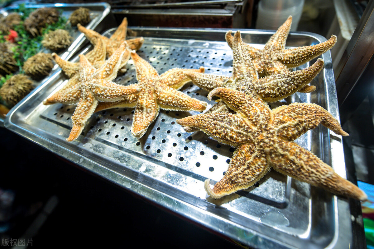 全国最坑人的十大小吃街,中国十大小吃街在哪