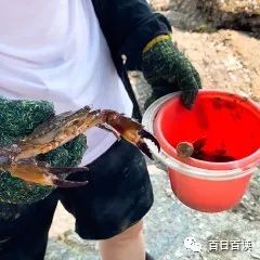 春节去厦门旅游攻略自由行,重庆到厦门自由行详细攻略