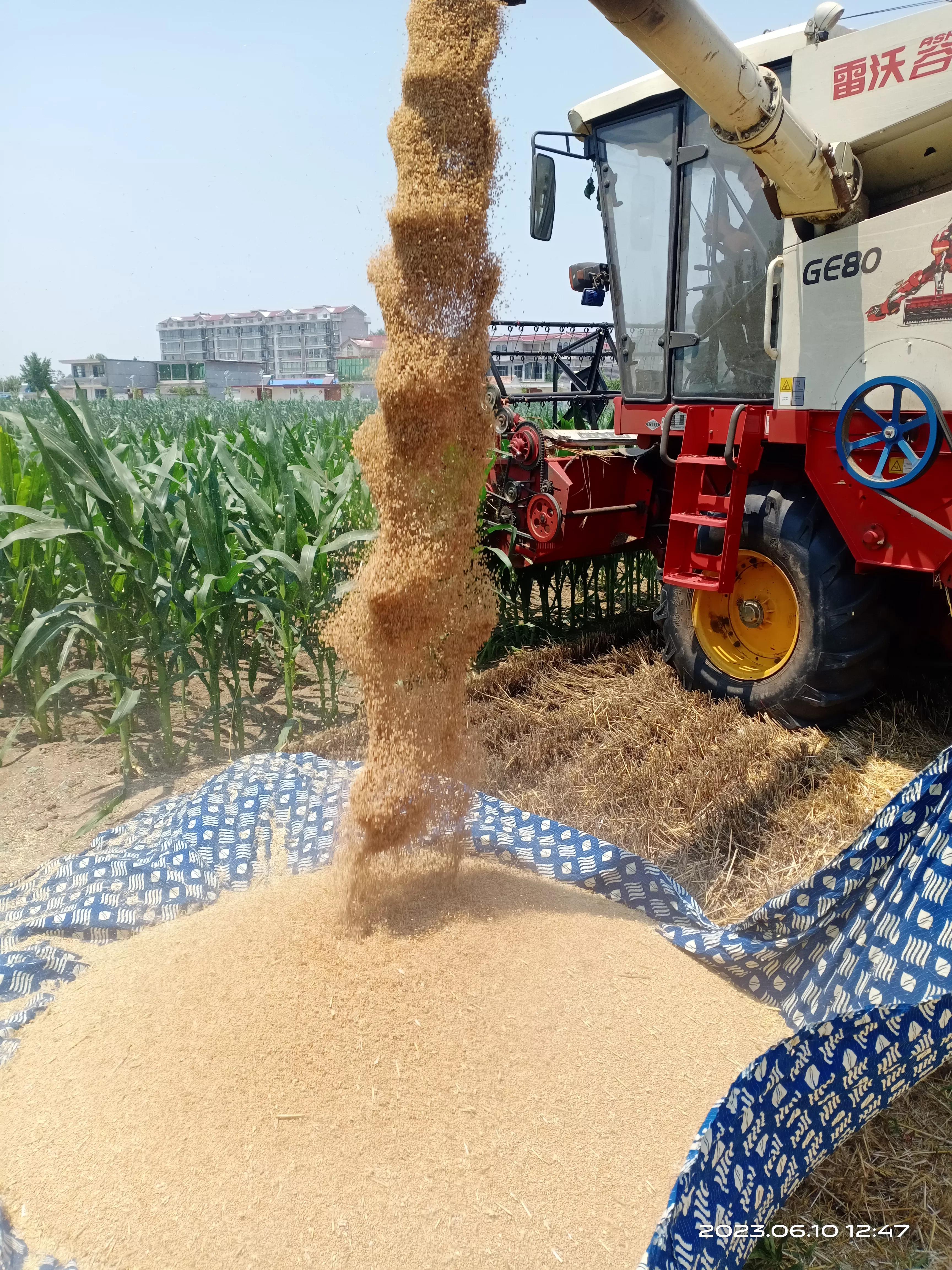 专家说农民种地是暴利原视频,专家说农民种地是暴利文章