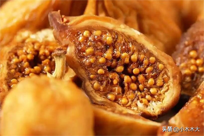 走进果实的世界我发现了什么,走进无花果的世界