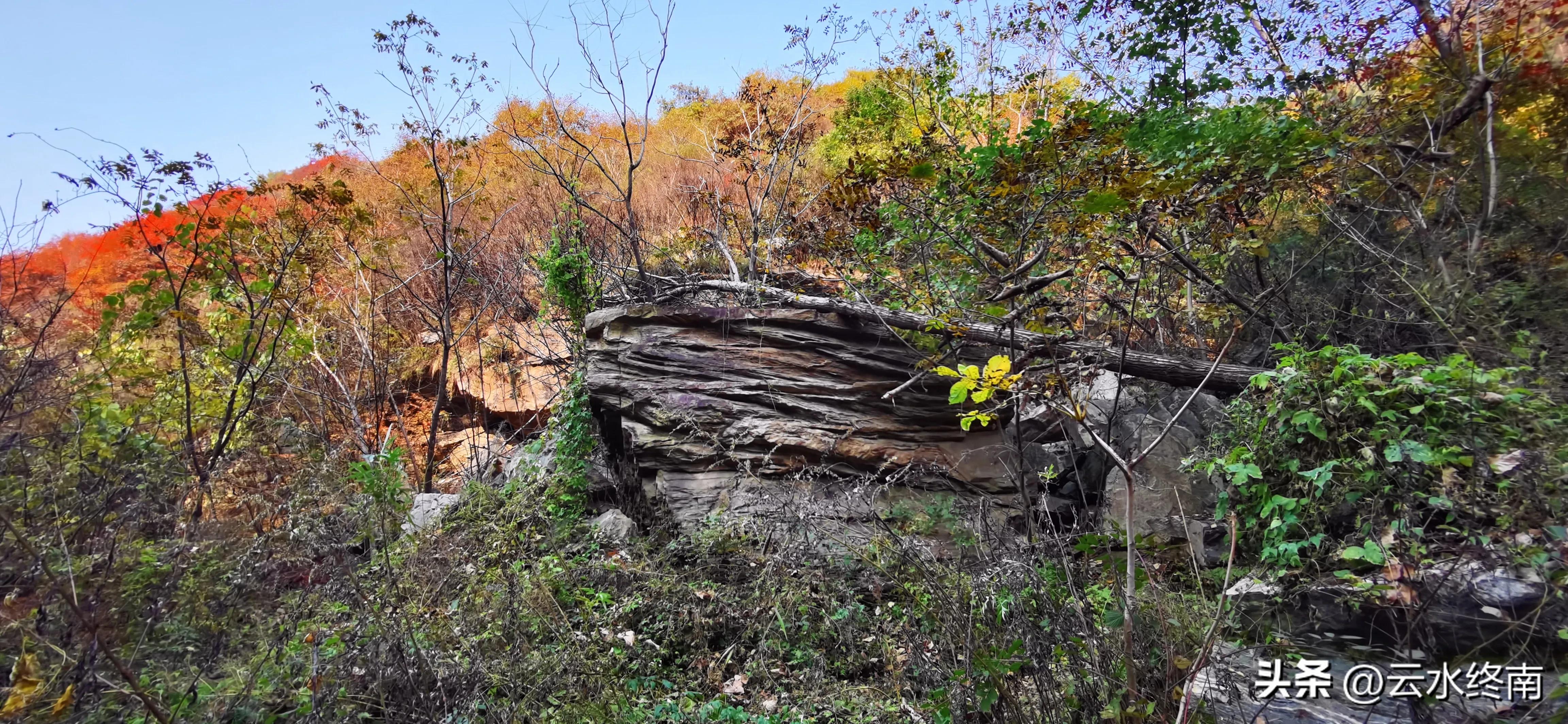 享个清福！到少有人知的峙峪看看漫山红叶，喝喝住山人清茶