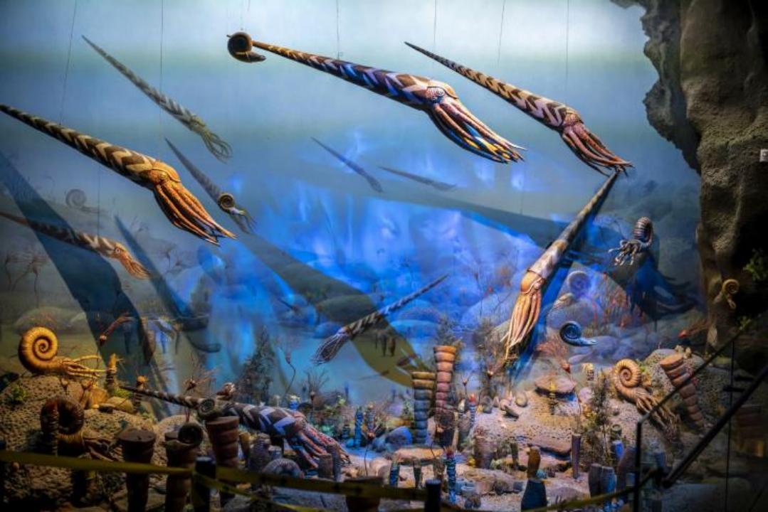 安吉旅游度假,安吉好玩还是千岛湖好玩