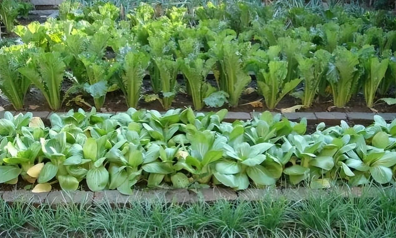 上海一骑手6桶泡面20个鸡蛋,嫌贵别买