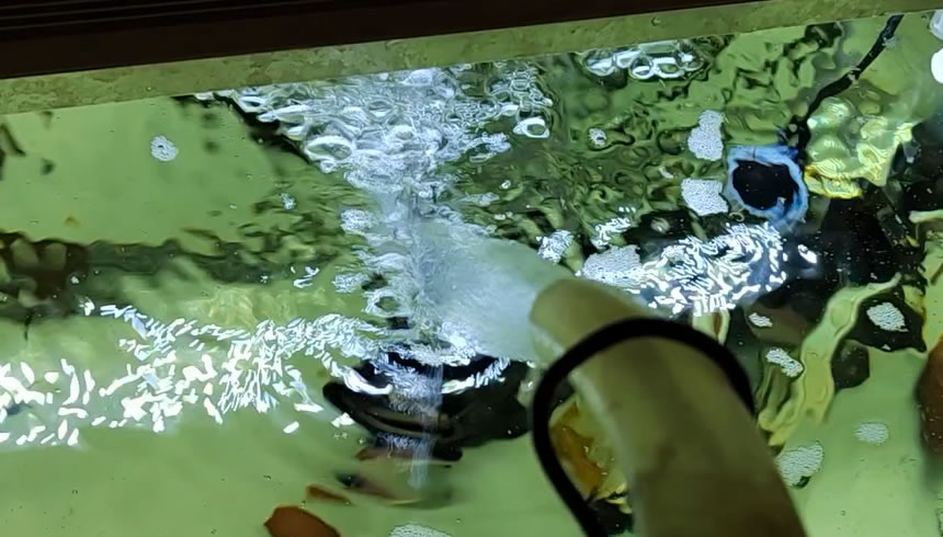 鱼不喜欢开口怎么办,春天鱼不吃食是什么原因