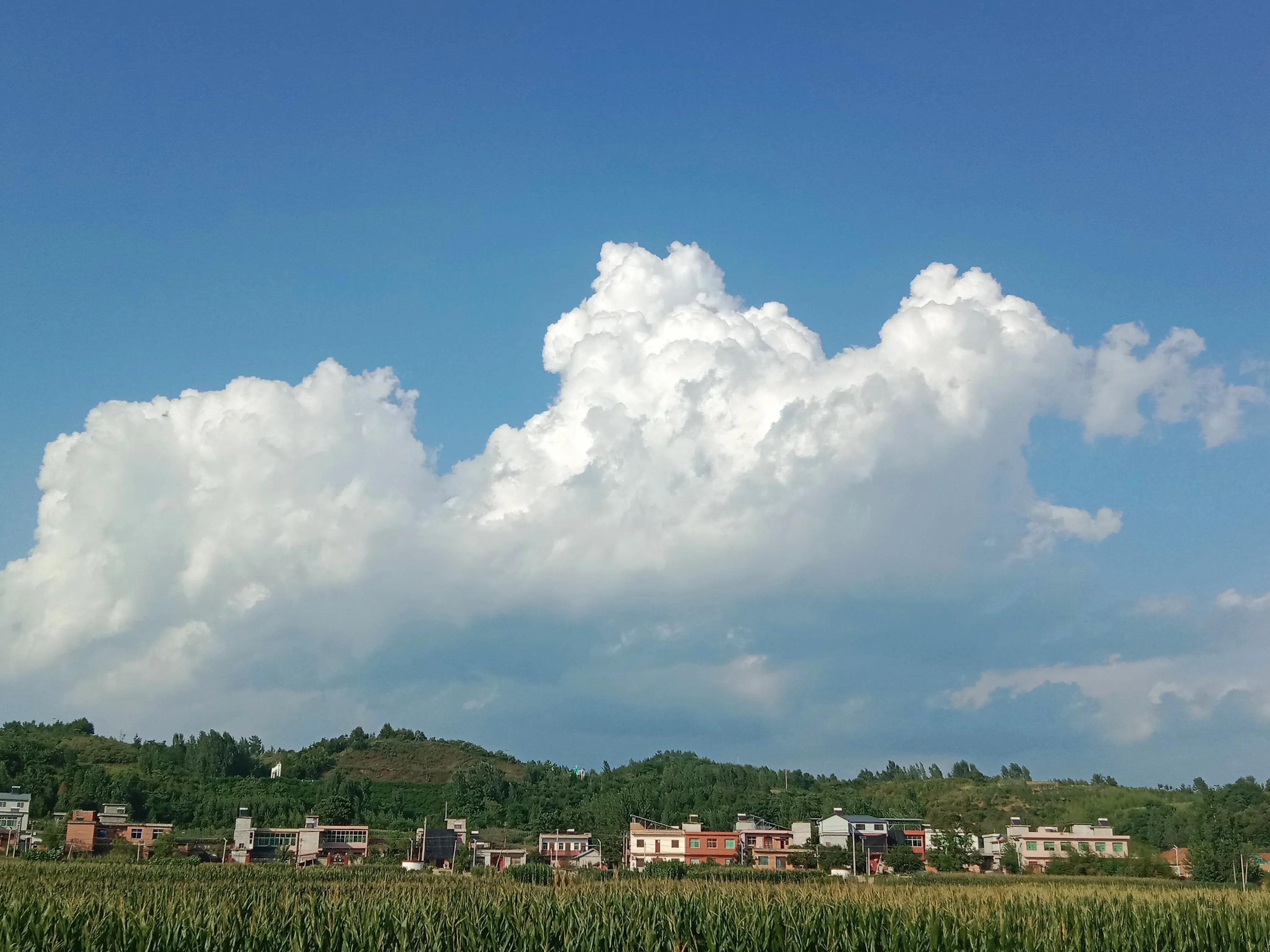 走进田间地头实践感悟二年级,走进故乡感受乡情作文