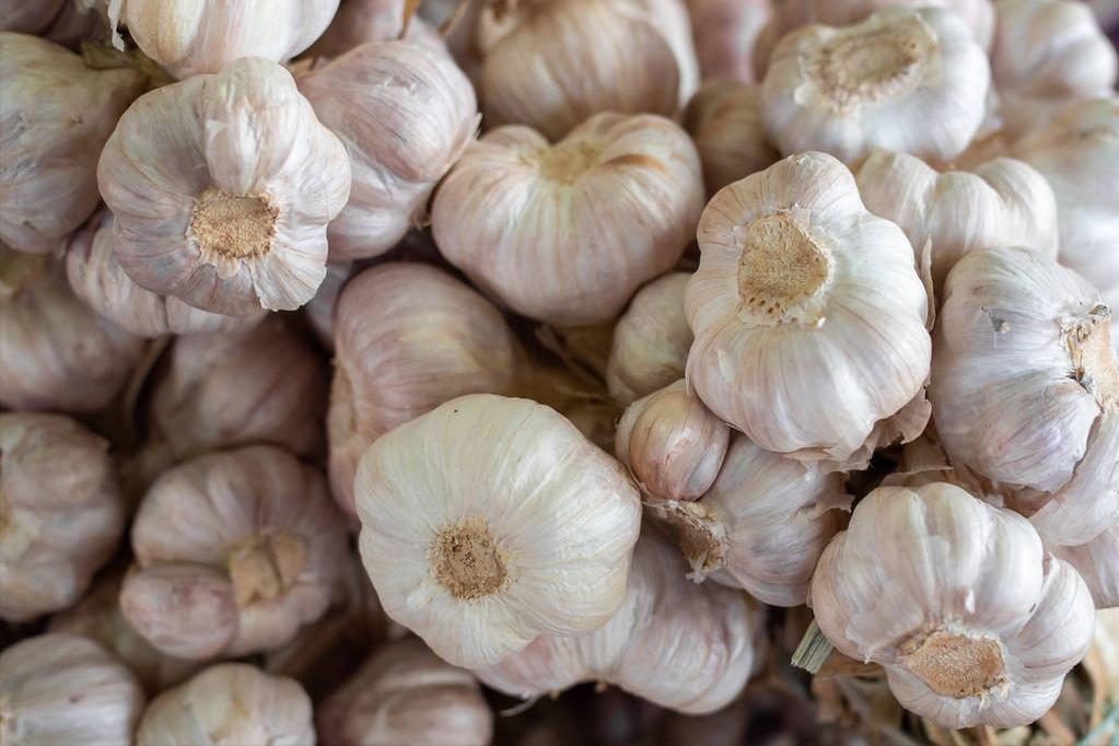 大蒜要怎么储存才不会发芽,大蒜怎么保存才不会干瘪发芽