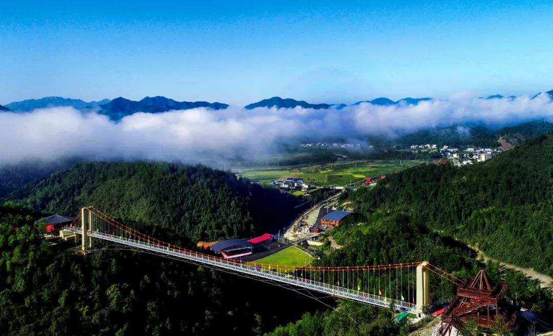 到咸宁看国宝过大年,离家45年的国宝回湖北咸宁过年