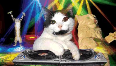 适合秋冬的粉底液持久不脱妆推荐,不容易脱妆滋润的混油皮粉底液